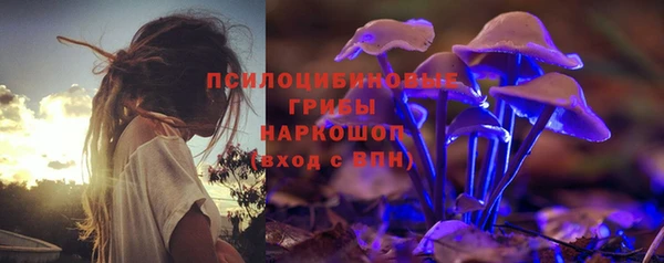 spice Алексин