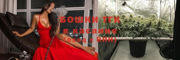 spice Алексин