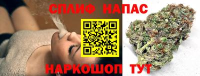 гидра Гусиноозёрск