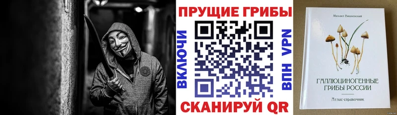 где купить наркотик  ссылка на мегу вход  Псилоцибиновые грибы GOLDEN TEACHER  Севастополь 